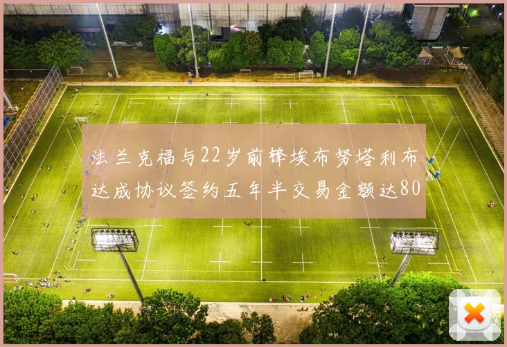 法兰克福与22岁前锋埃布努塔利布达成协议签约五年半交易金额达800万欧元