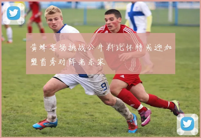 黄蜂客场挑战公牛科比怀特或迎加盟首秀对阵老东家